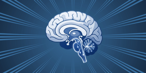 Травма прив’язаності та болісна присутність відсутності. В контексті теорії Переорієнтування Глибинного мозку DBR